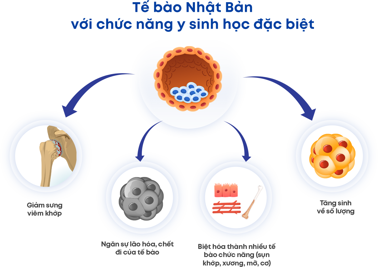 Điều Trị Cơ Xương Khớp Thông Minh