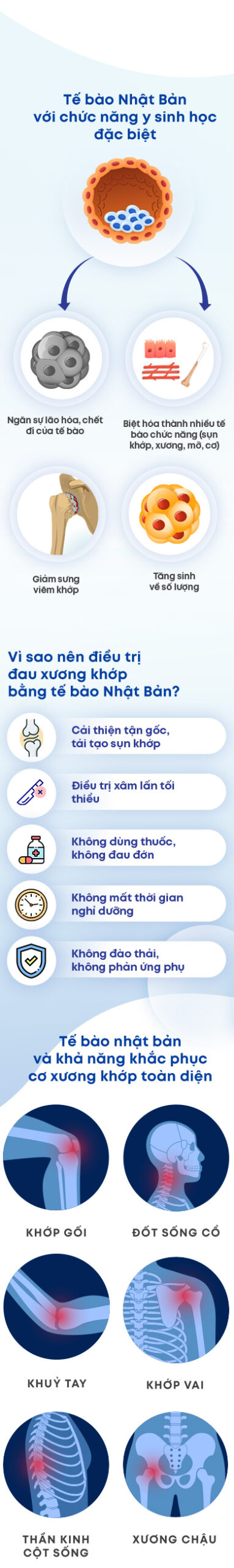 Điều Trị Cơ Xương Khớp Thông Minh