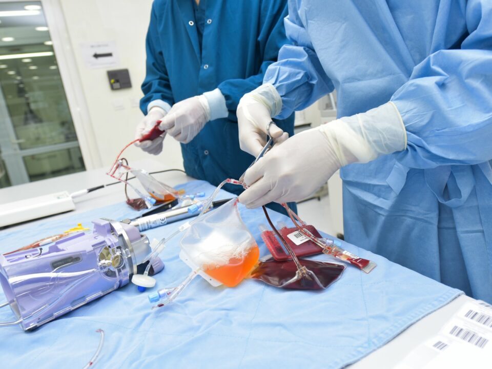 Tế bào gốc trong cá nhân hóa điều trị