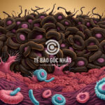 cancer ung thu